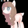 Pony Adopt