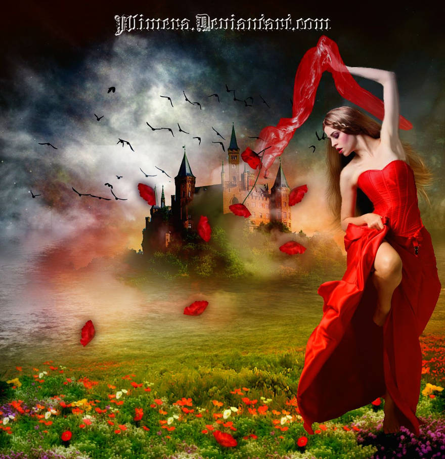 Dance width poppies by Alimera