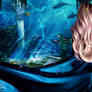 La reine de la mer