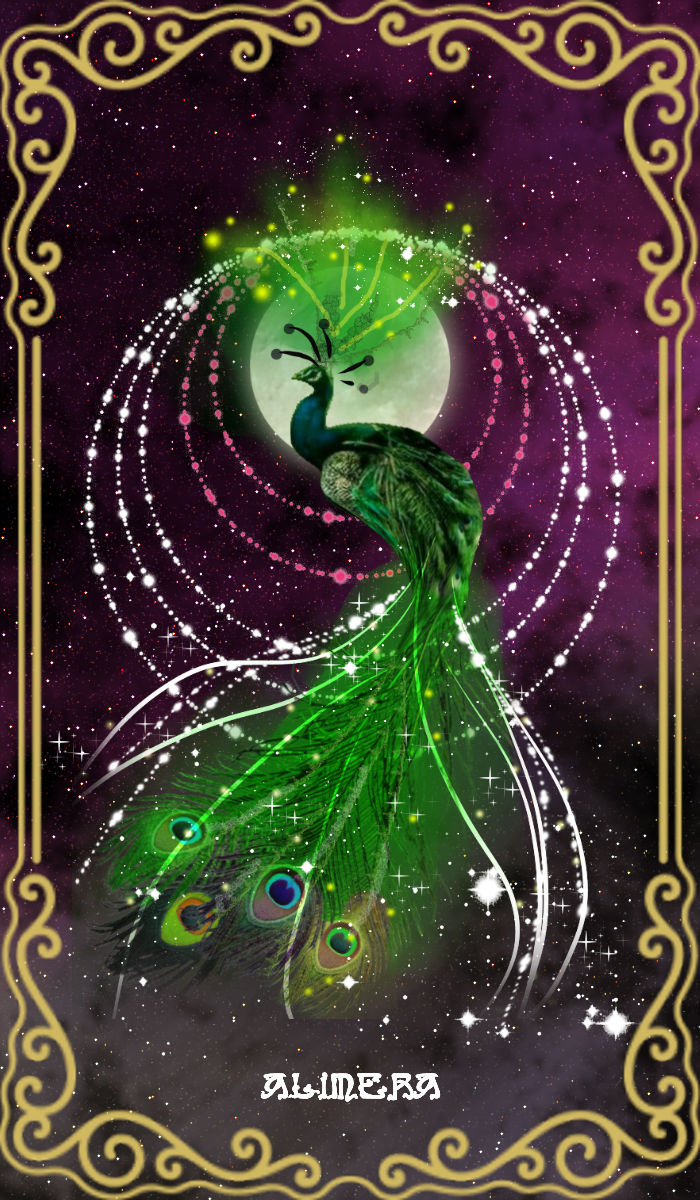 Moonshine peacock