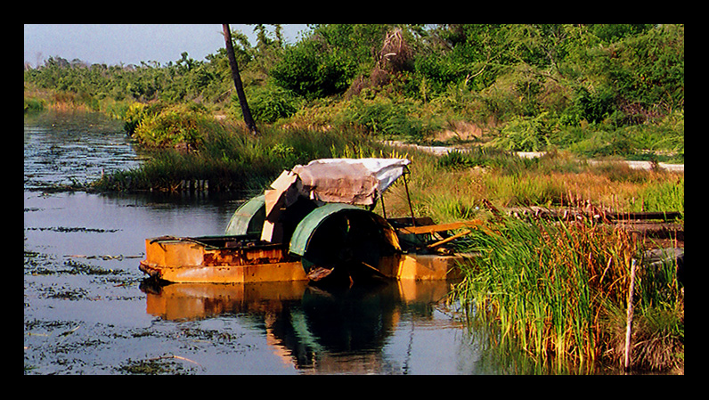 Paddle boat