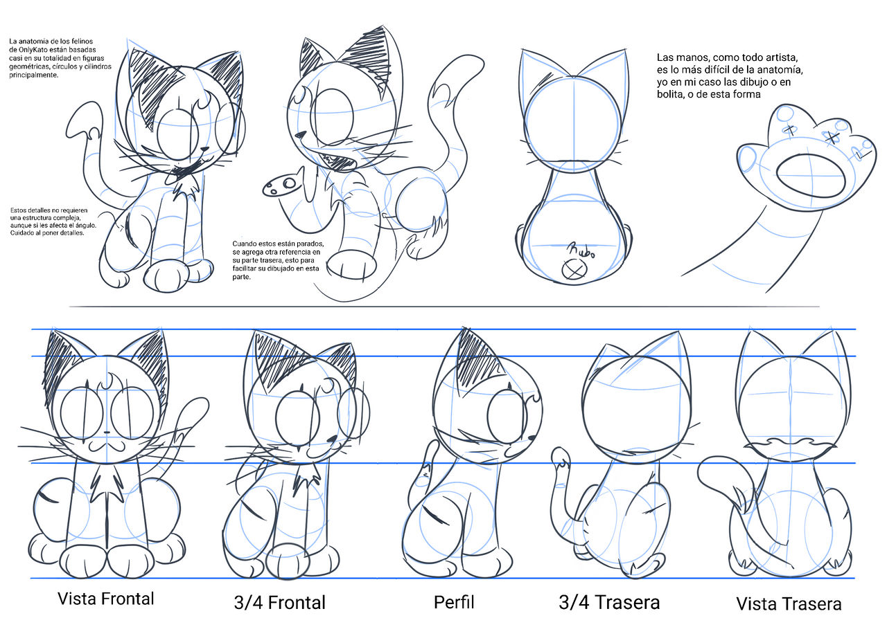 Thought you might like this  Anatomia do gato, Illustration