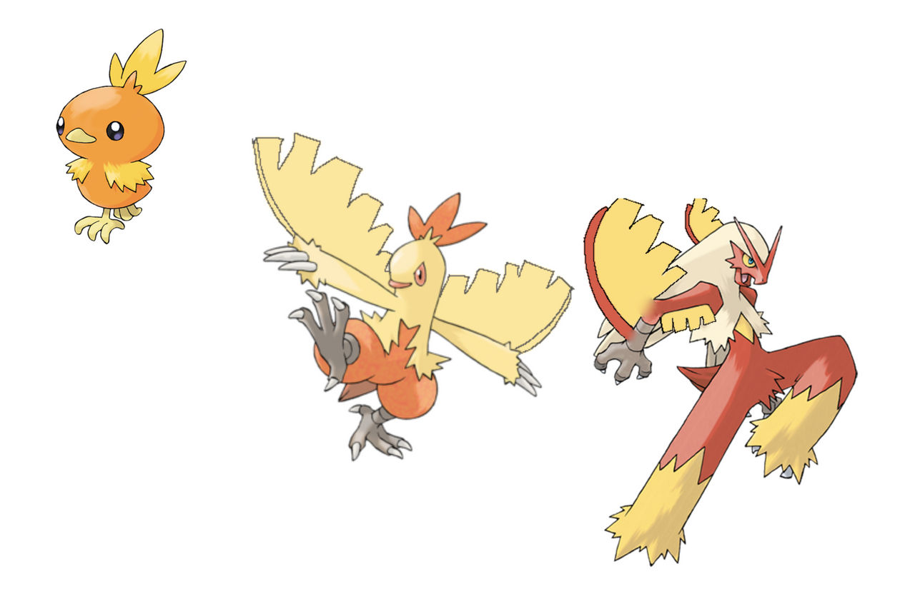 Torchic Back So Rite How the Torchic Line SHOULD Have Evolved by ThePokeTicFiend on DeviantArt