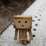 Danbo goes for a walk