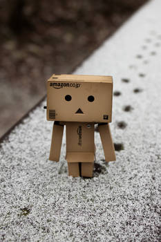 Danbo goes for a walk