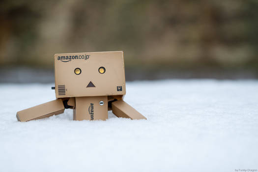 Danbo is to small for snow.