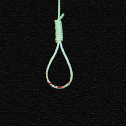 the noose