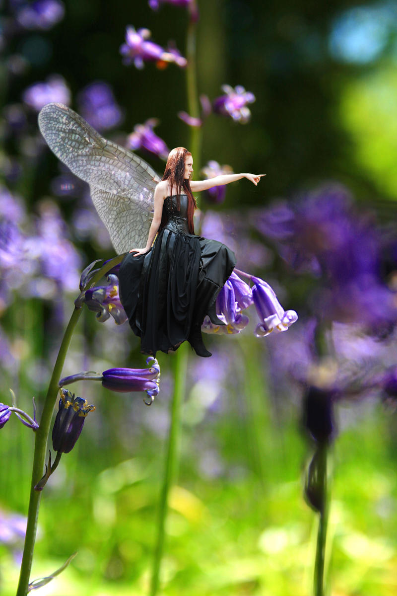 Summer day fairy