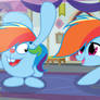 MLP Next Gen : Rainbow Dash new friend