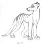 Thylacine