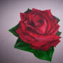 painted rose