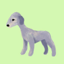 bedlingtonTerrier