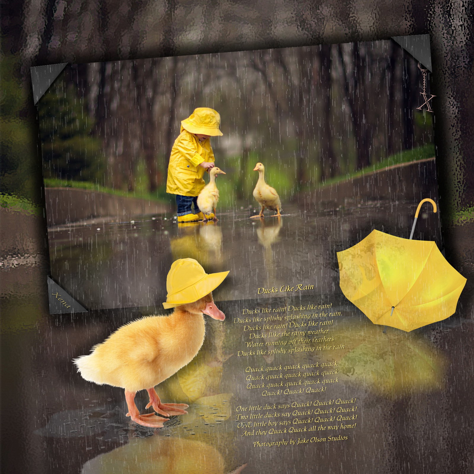 wallpapers Pictures Of Ducks In The Rain ducks like rain by xenamaria on deviantart