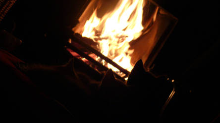 Warmth of the Fire