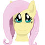 Fluttershy's Face