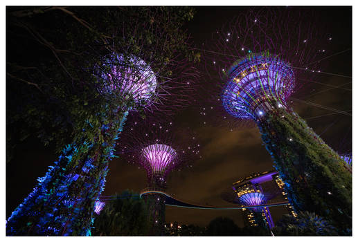 Singapore - Gardens by the Bay Christmas