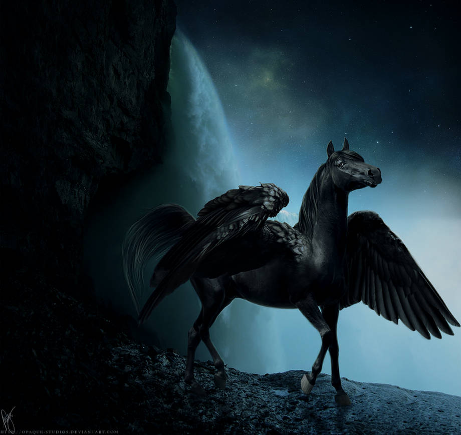 Horse life пегасы. Черные Единороги и пегасы. Крылатая лошадь. Черная лошадь с крыльями. Черный Пегас.