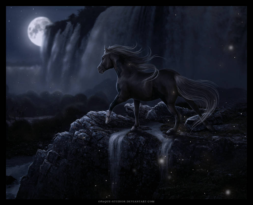 Exquisite Unicorn Eye Wallpaper Concept Exquisite Unicorn Eye Wallpaper Concept