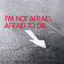 Not afraid