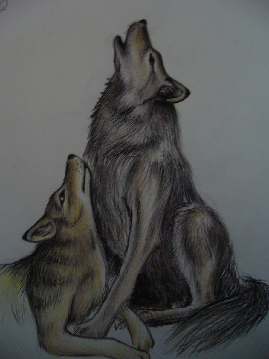 wolves pairing