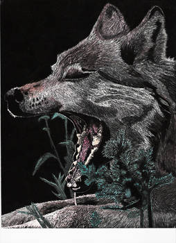 orgasmic wolf