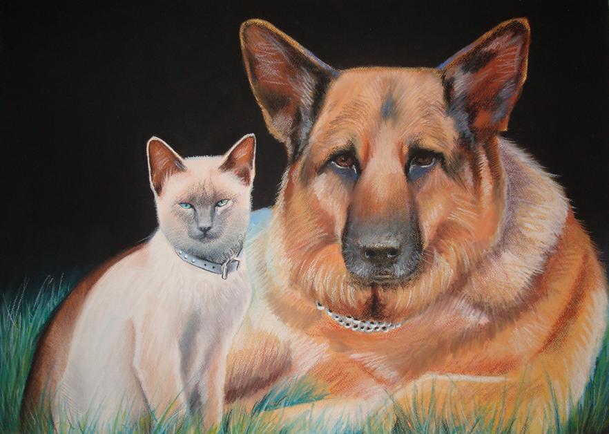 cat and dog