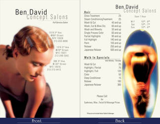 Flyer - Ben Davis