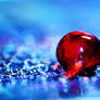 Frozen blood