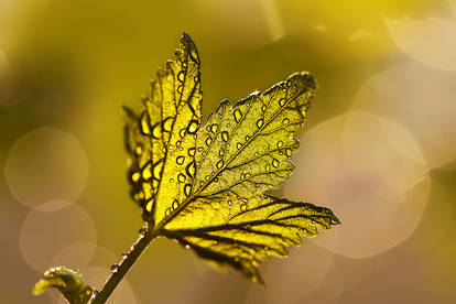 sunday afternoon sunlight