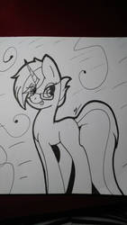 Inked Pony