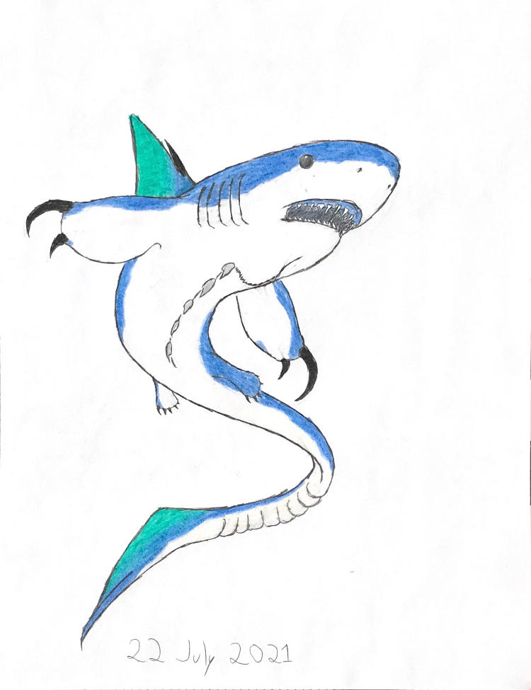 Azure Shark Lizard by IDrawDrag0ns on DeviantArt