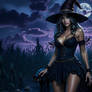 Swamp Witch and Black Cat 2