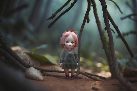 Alone In The Woods