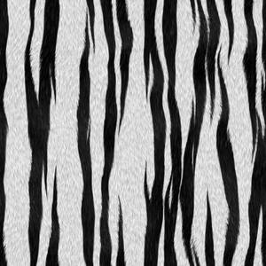 Siberian Tiger Fur Texture