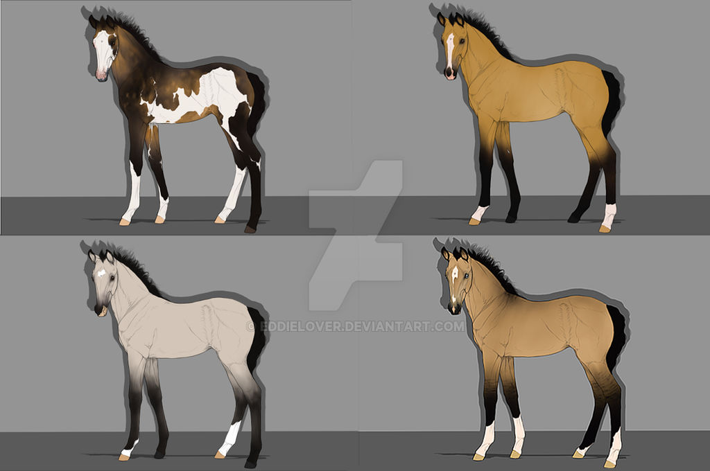 Buckskin designs - FOR SALE 3/4