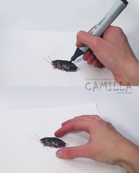 Super realistic cockroach