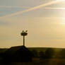 Storks in the Sunset