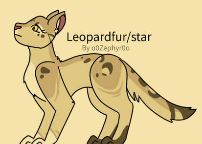 Leopardstar Design