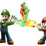 mario and luigi flame-down