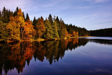 Oberer Nassenwieser Teich