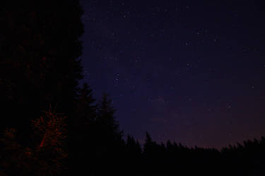 Stars at the Flambacher Lake