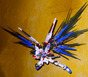 Strike Freedom [Custom]