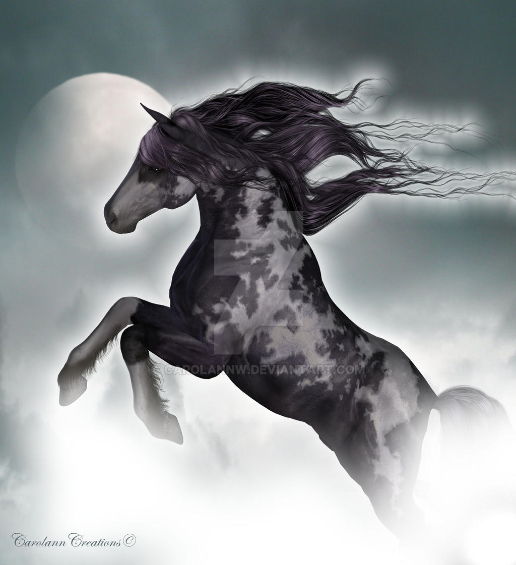 Moonlight Rider by CarolannW on DeviantArt