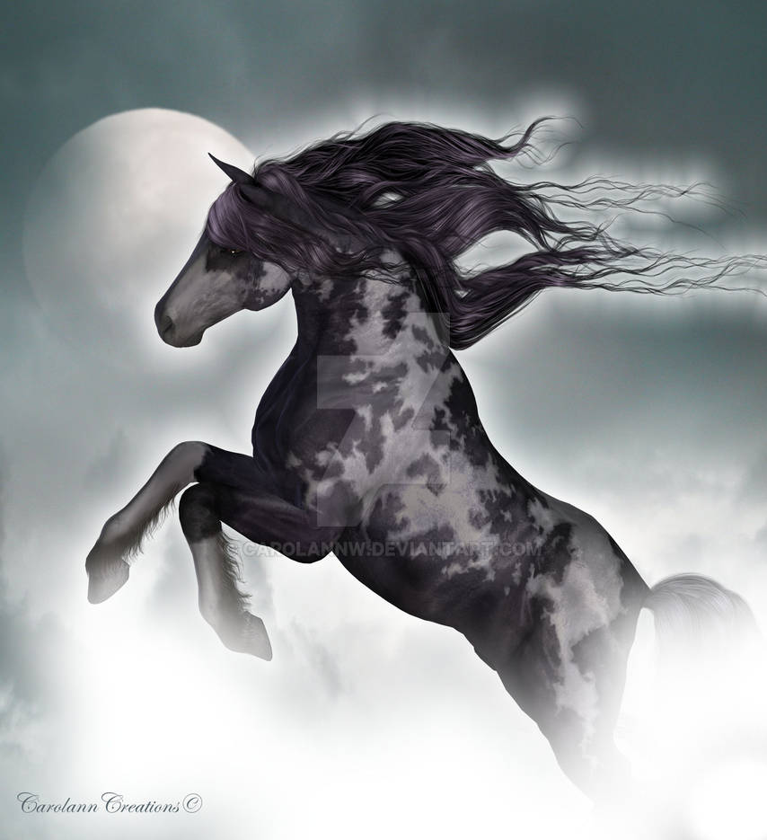Moonlight Rider by CarolannW on DeviantArt