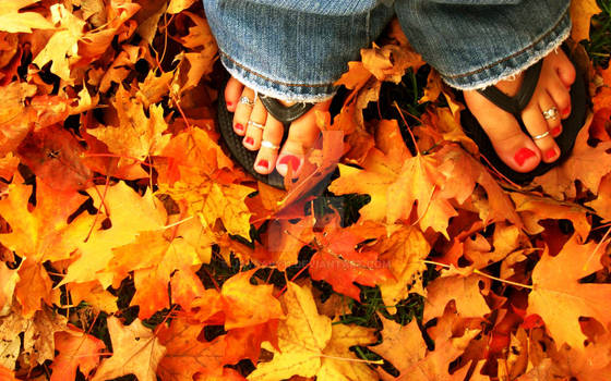 Autumn Feet in Kansas