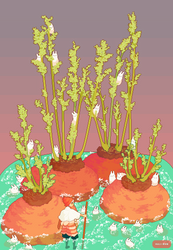 Carrot tops