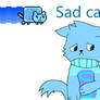 Sad cat