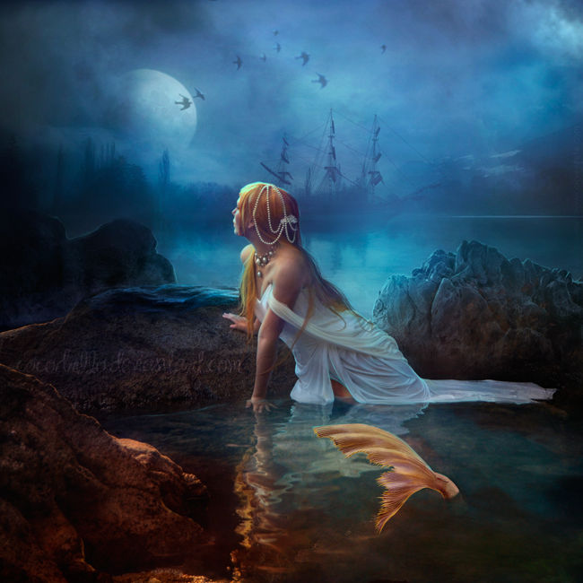 Siren by Cocodrillo Siren by Cocodrillo