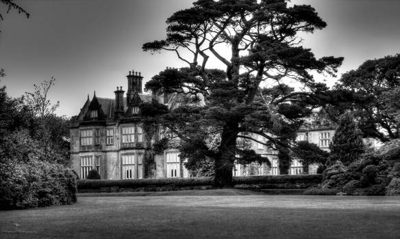 ..: The Manor :..