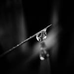 ..: Focus :.. by Mademoiselle-P